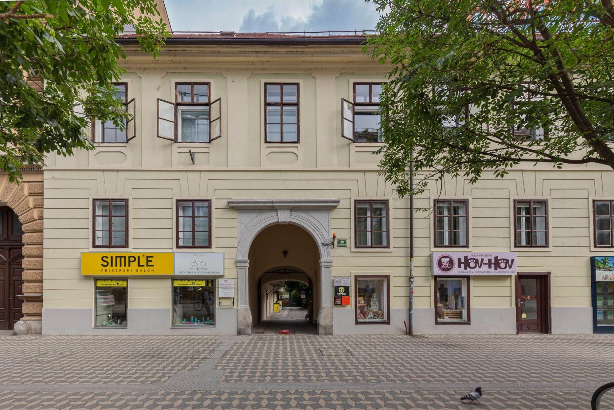 By The Walnut Tree Apartment Ljubljana Bagian luar foto